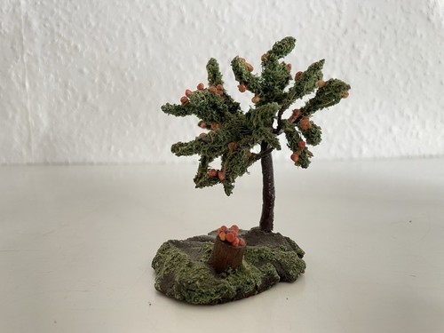 Alter apfelbaum höhe 8cm - alter,