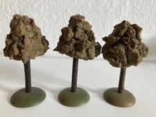 3 Alte Masse Bäume  Höhe 10